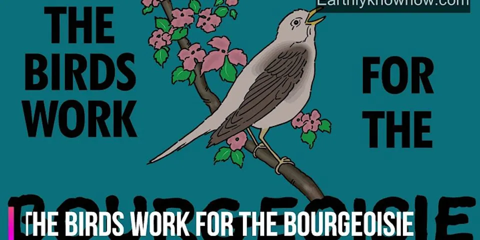 the birds work for the bourgeoisie là gì - Nghĩa của từ the birds work for the bourgeoisie