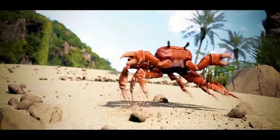 the dancing crab là gì - Nghĩa của từ the dancing crab