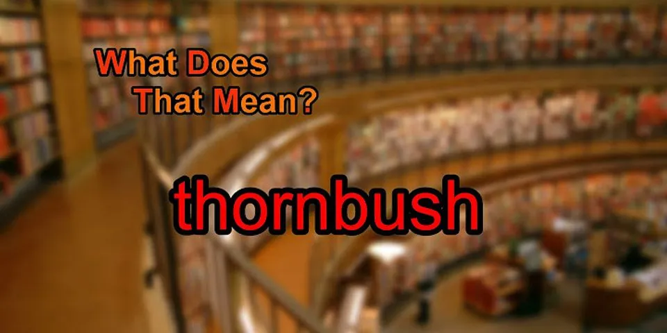 thorn bush là gì - Nghĩa của từ thorn bush