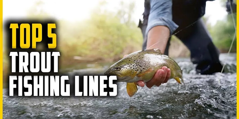 trout line là gì - Nghĩa của từ trout line