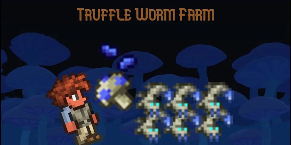 truffle worm là gì - Nghĩa của từ truffle worm
