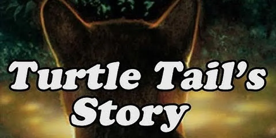 turtle tail là gì - Nghĩa của từ turtle tail