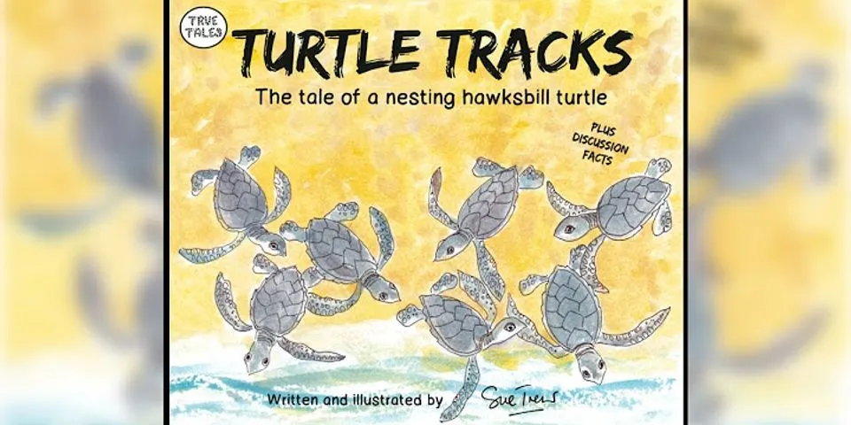 turtle tracks là gì - Nghĩa của từ turtle tracks