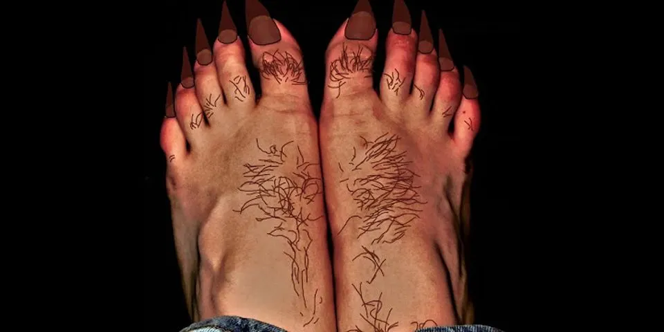 werewolf feet là gì - Nghĩa của từ werewolf feet