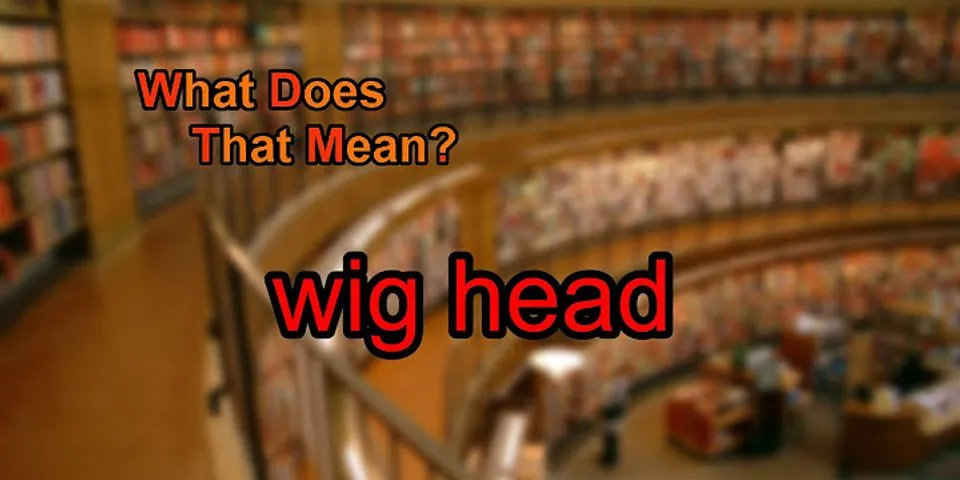 wig head là gì - Nghĩa của từ wig head