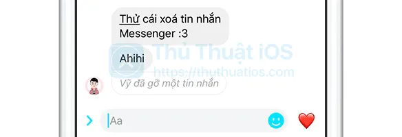 tin-nhan-da-xoa-trong-messenger-2