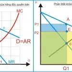 Kinh tế học (P22: Độc quyền bán)