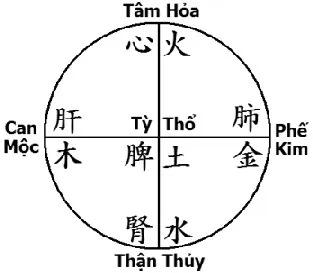 tạng tỳ